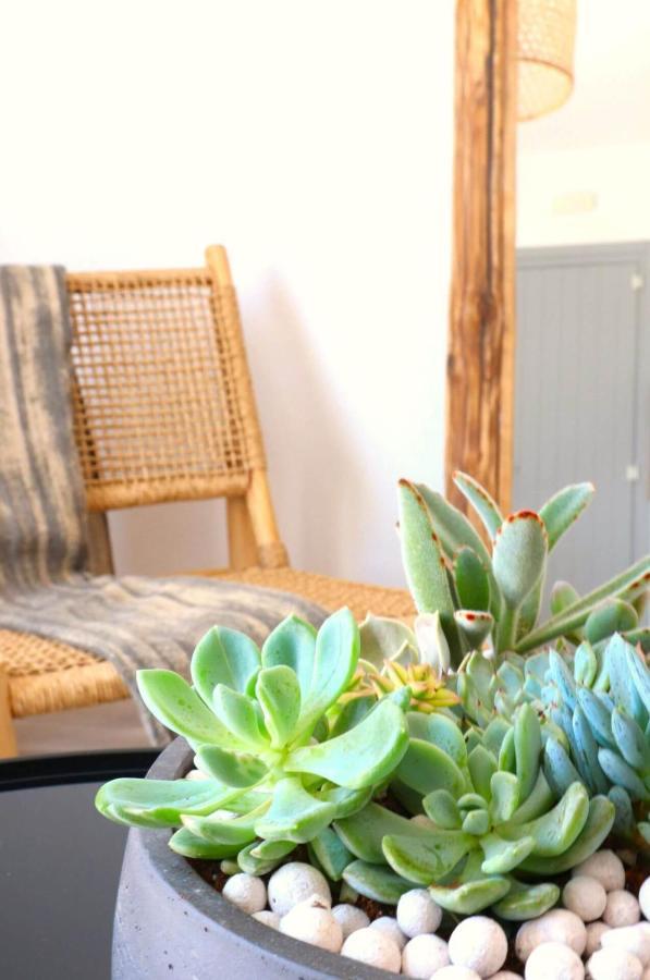 Beach Apartment Thalia With Hot Tub And Sea View Agios Prokopios (Naxos) Exterior foto
