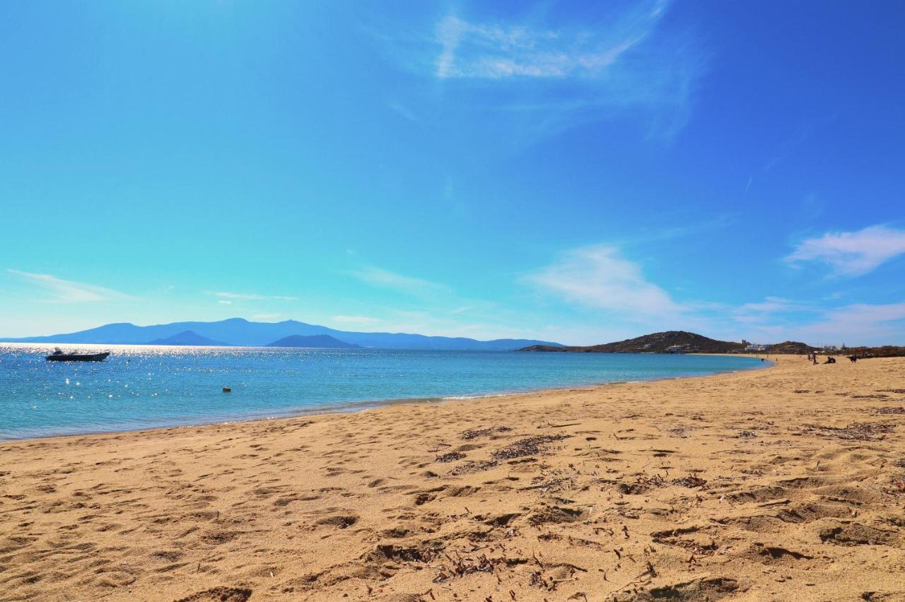 Beach Apartment Thalia With Hot Tub And Sea View Agios Prokopios (Naxos) Exterior foto